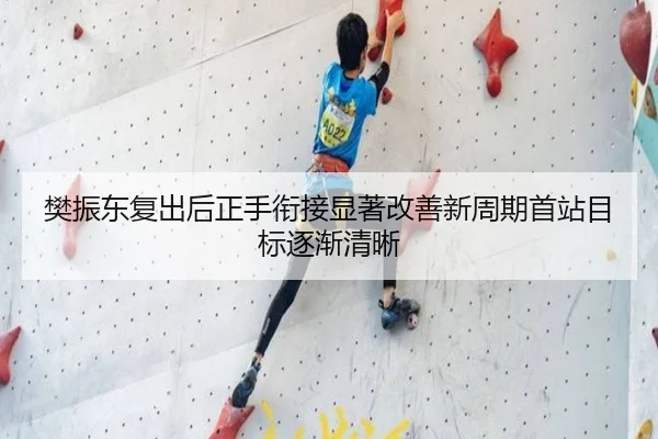 樊振东复出后正手衔接显著改善新周期首站目标逐渐清晰